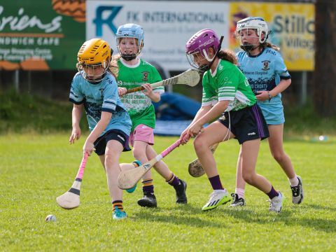 Camogie 