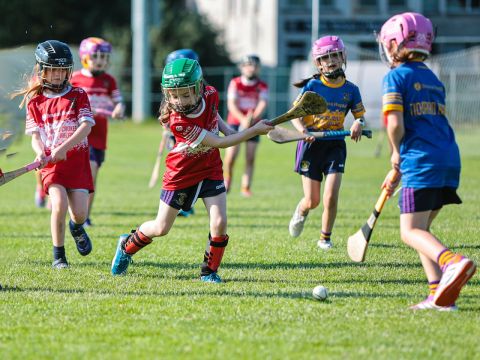 Camogie
