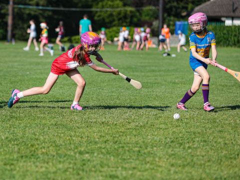 Camogie