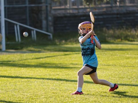 Camogie