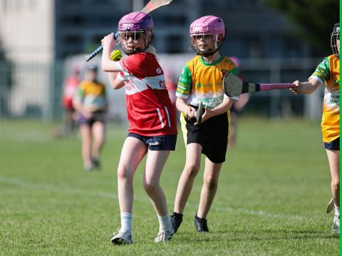 Camogie