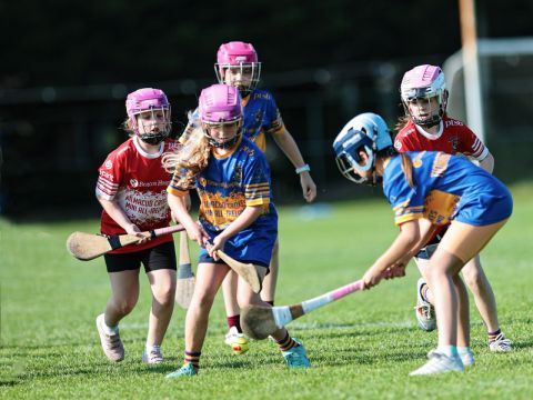 Camogie