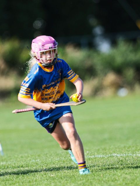 Camogie