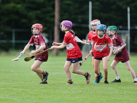 Camogie