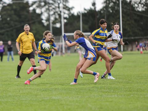 7s Ladies 2025 