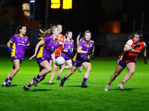 Senior Team Ladies2025 