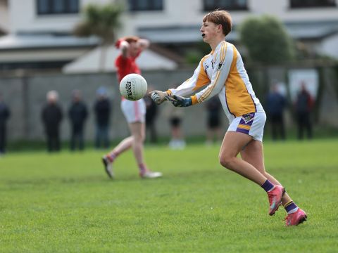Kilmacud Crokes Minor B Football Championship -v- St Patricks