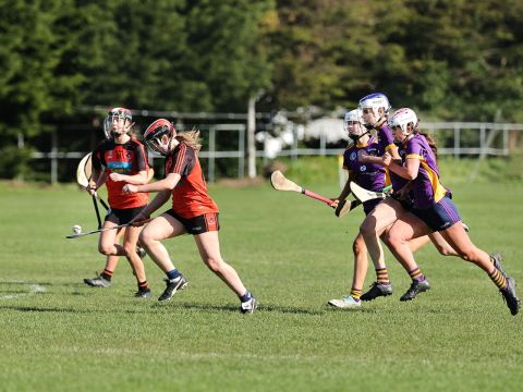 Action shot