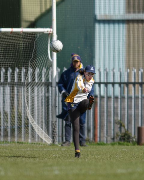 Goalkeeper kicking the ball out