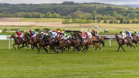 Punchestown 2026