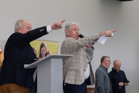 Dillon Quirke Auction