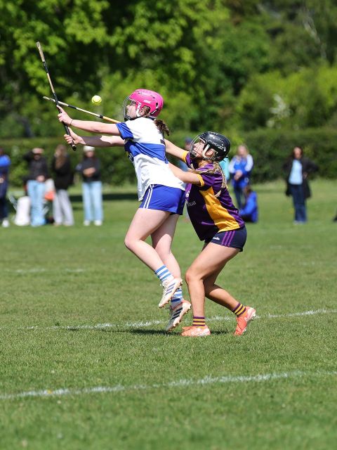 Action shot