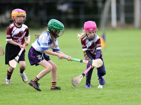 Mini All Irelands