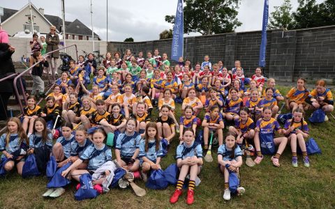 Mini All Irelands
