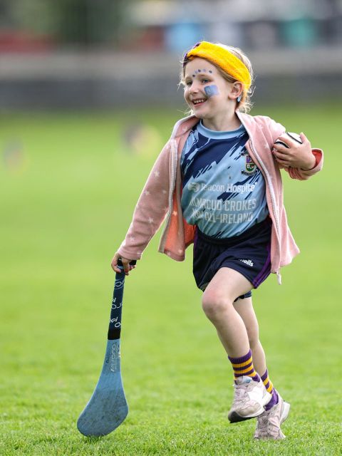 Mini All Irelands