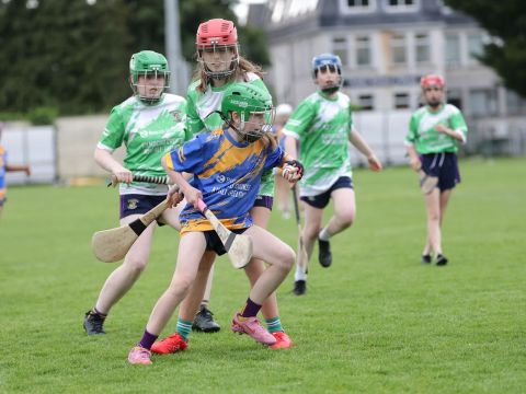 Mini All Irelands