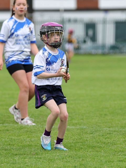 Mini All Irelands