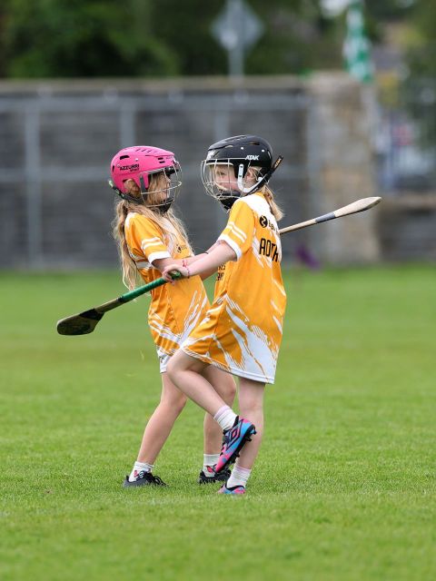 Mini All Irelands