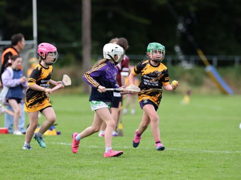 Mini All Irelands