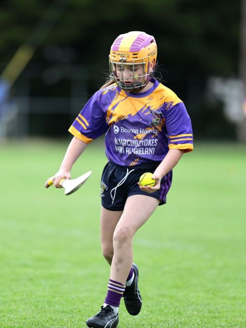 Mini All Irelands