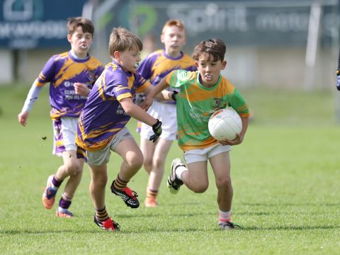 Boys Mini All-Ireland 2-1