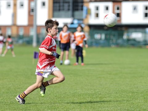 Boys Mini All-Ireland 2-9