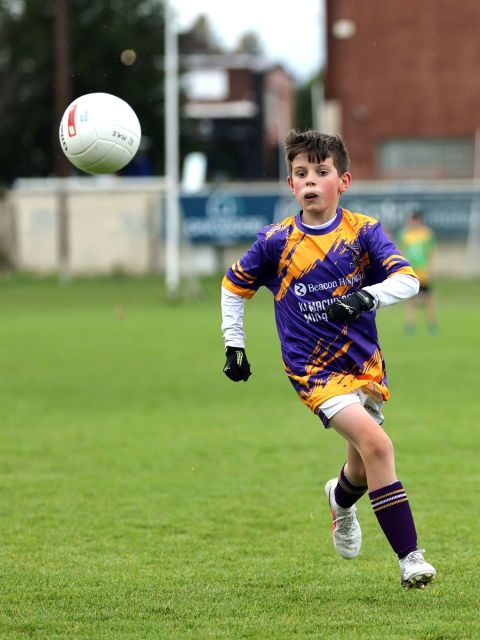 Boys Mini All-Ireland 2-12