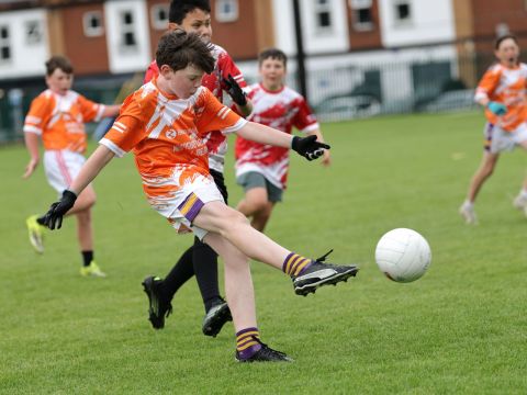 Boys Mini All-Ireland 2-13