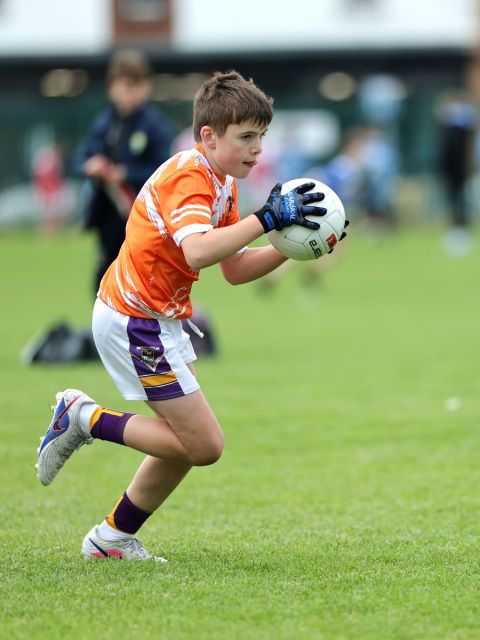 Boys Mini All-Ireland 2-14