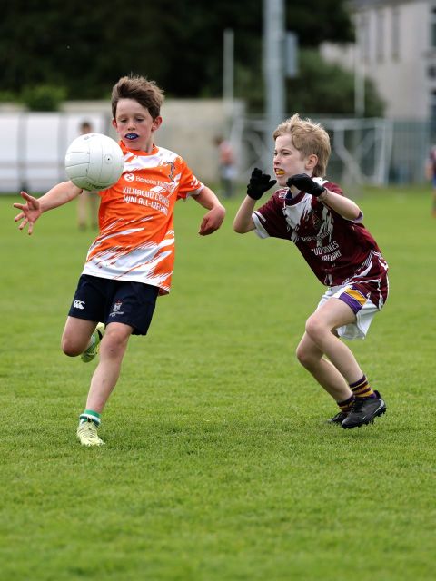 Boys Mini All-Ireland 2-15