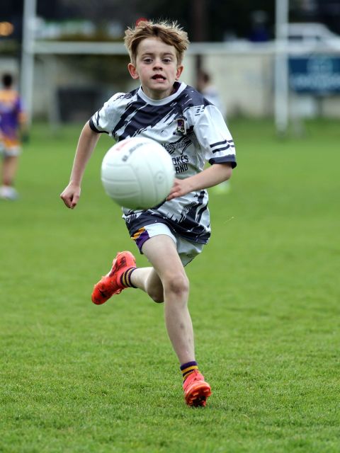 Boys Mini All-Ireland 2-17