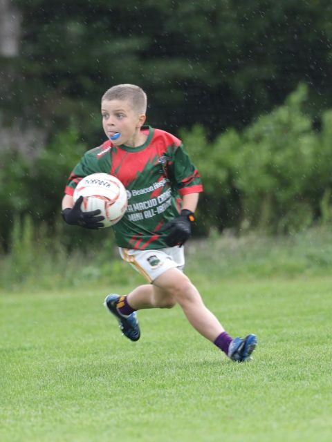 Boys Mini All-Ireland 2-19
