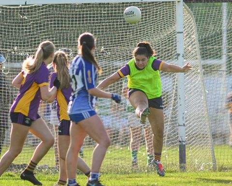 Juniors 1s vs Ballyboden 6