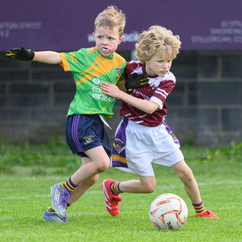 players