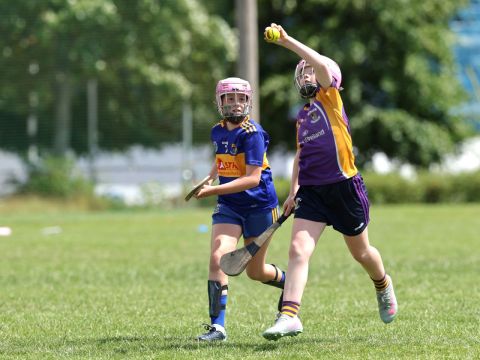 Action shot