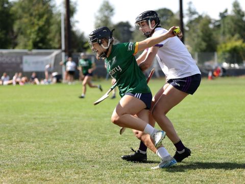 Action shot