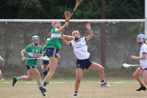 Action shot