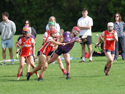 Action shot