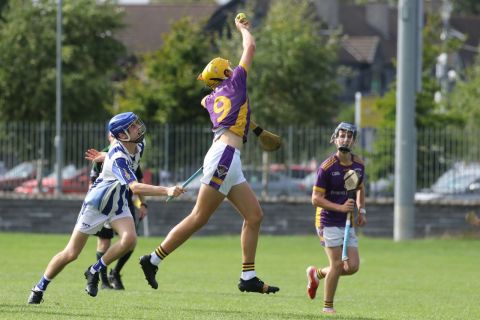 High Catch
